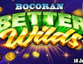 Bocoran Slot Better Wilds Dengan Bank Raya Indonesia