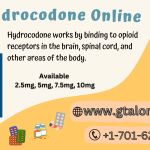 Buy 10/500 mg Hydrocodone Online No Rx