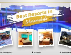 Best Resorts in Dharamshala