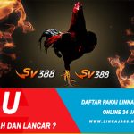 Bandar Sabung Ayam Sv388 Online Terpercaya