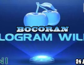 Bocoran Slot Hologram Wilds Dengan Bank Negara Indonesia