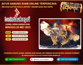 Daftar Situs Sabung Ayam Online Deposit Bank Riau Kepri 24 Jam Terpercaya