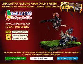 IDEBET Daftar Situs Sabung Ayam Online Deposit Bank Kalteng 24 Jam
