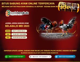 Situs Sabung Ayam Online Deposit Bank Bengkulu 24 Jam