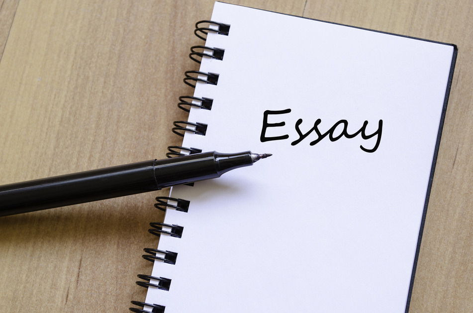 Essay is an important part of education