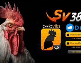 Bolavita: Sabung Ayam Sv388 Deposit DANA 5 ribu