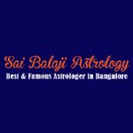 Profile picture of Srisaibalaji Astrocentre