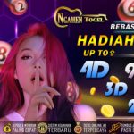 Profile picture of Ngamen