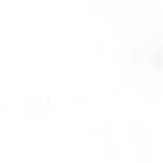 chauffeur5のプロフィール写真