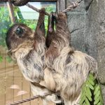 Eleanorのプロフィール写真