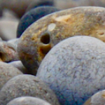 Profile picture of Yon