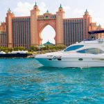 Williamsのプロフィール写真