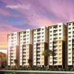 Providentのプロフィール写真