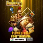 Profile picture of browin4d