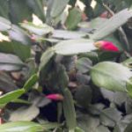 Profile picture of Trinity