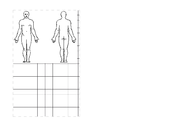 Human Body Outline