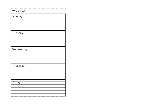 Weekly Organizer