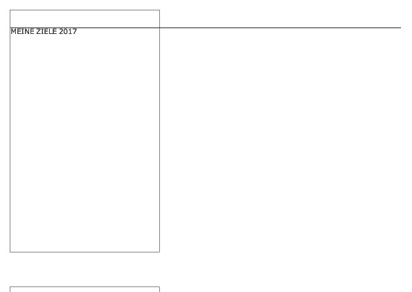 ‘Meine Ziele 2017’