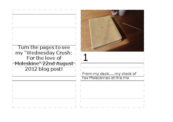 Great! Sweet Moleskine