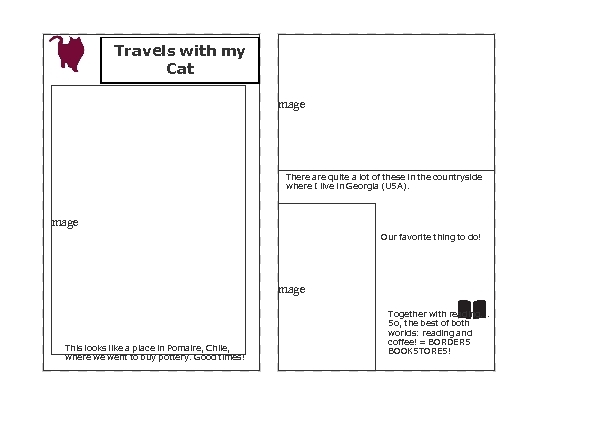 Travels with my Cat