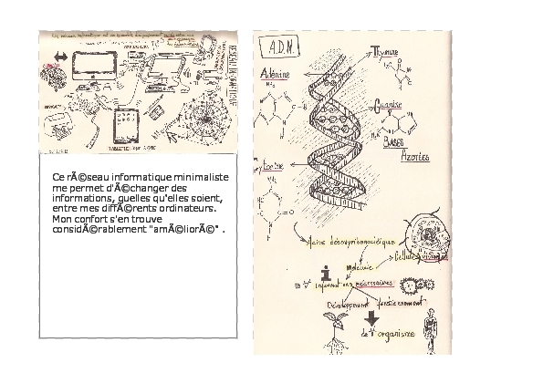 my moleskine