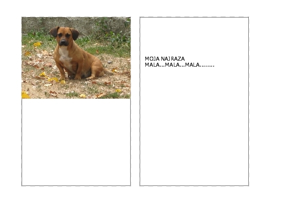 MALA 1