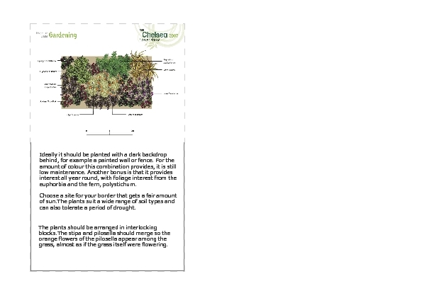 garden design